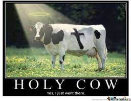 Holy Cow;